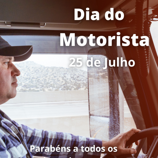 Dia Do Motorista 25 De Julho Story Instagram (3)